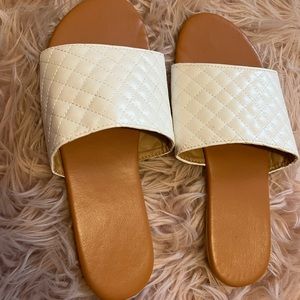 Brand new Schein slides